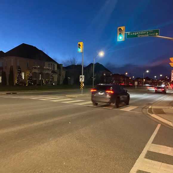 Meet your Posher, Malykah - Picture 1 of 1